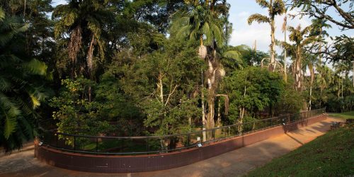 Após dois anos, Parque da Ciência Butantan reabre ao público Imagem referente a Após dois anos, Parque da Ciência Butantan reabre ao público