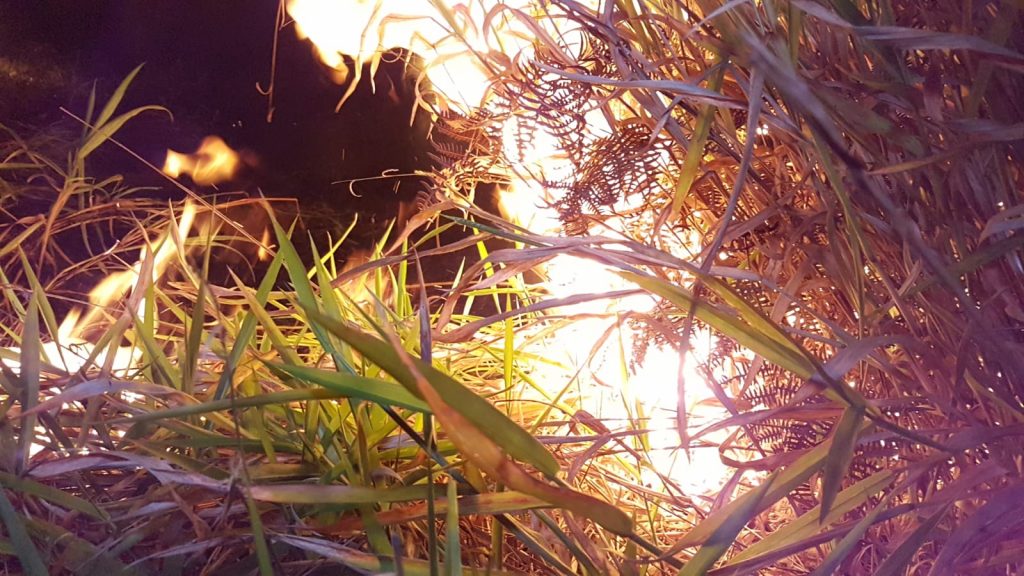 Corpo de Bombeiros é acionado para conter incêndio em vegetação