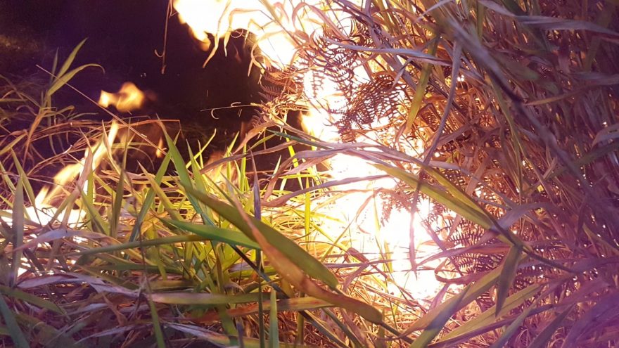 Corpo de Bombeiros é acionado para conter incêndio em vegetação