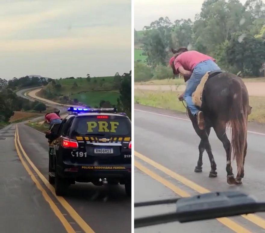 Quase ‘caiu do cavalo’: PRF flagra cavaleiro ‘embriagado’ na BR-163