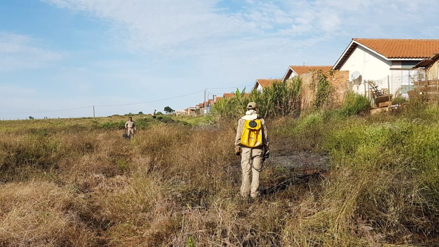 Bombeiros combatem incêndio em vegetação no Riviera