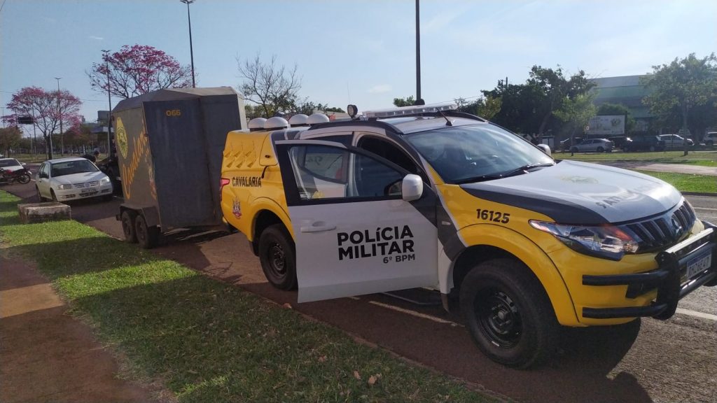 Durante operação Narcos Brasil, usuário de drogas é apreendido pela Cavalaria