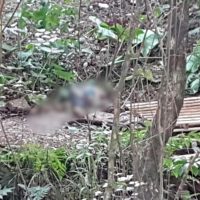 Imagem referente a Mulher morre após ser agredida com golpe de facão no Bairro Santa Cruz