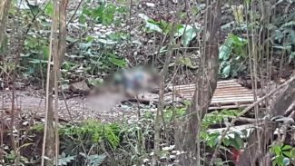 Mulher morre após ser agredida com golpe de facão no Bairro Santa Cruz