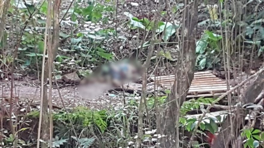 Mulher morre após ser agredida com golpe de facão no Bairro Santa Cruz