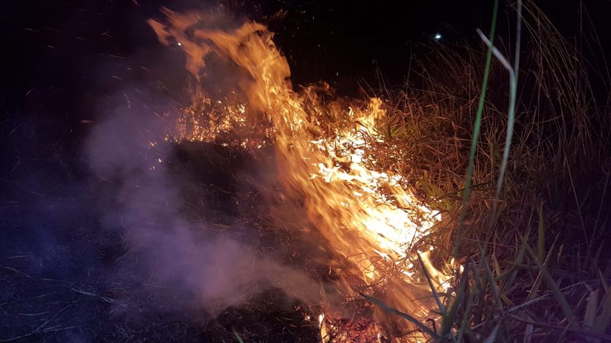 Incêndio em vegetação no Periolo mobiliza Corpo de Bombeiros