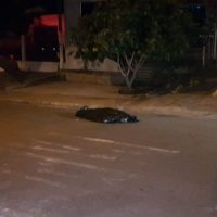 Imagem referente a Vítima de disparos de arma de fogo morre no Esmeralda