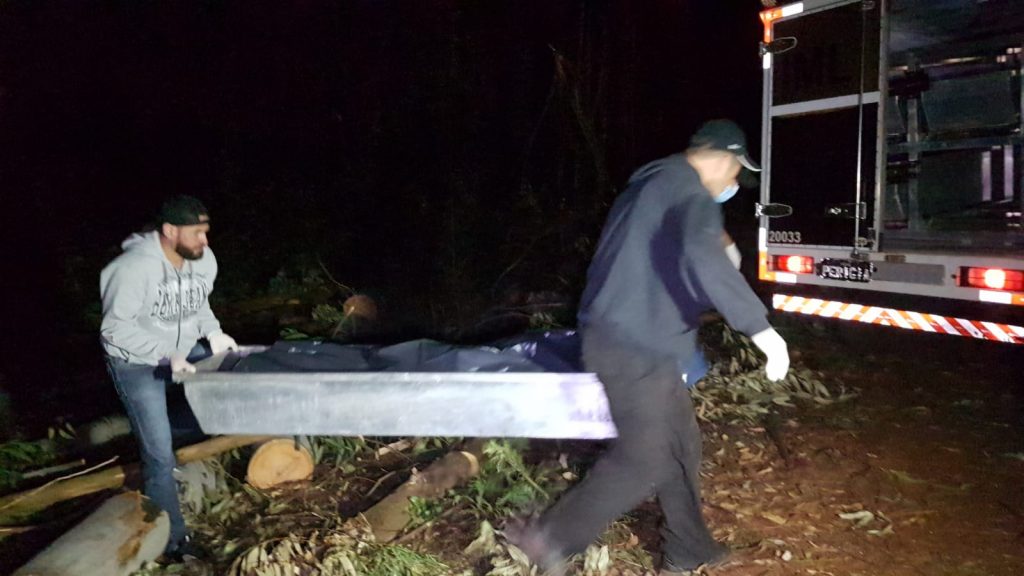 Homem que morreu esmagado por árvore no interior de Cascavel é identificado