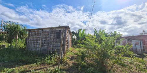 Imagem referente a Defensoria quer regularizar ocupação de agricultores no estado do Rio