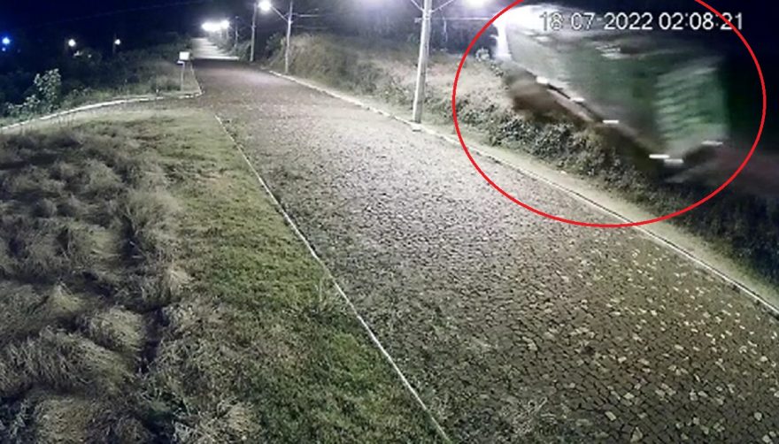 Câmera registra capotamento de carreta de frango na PR-281 no perímetro urbano de São João
