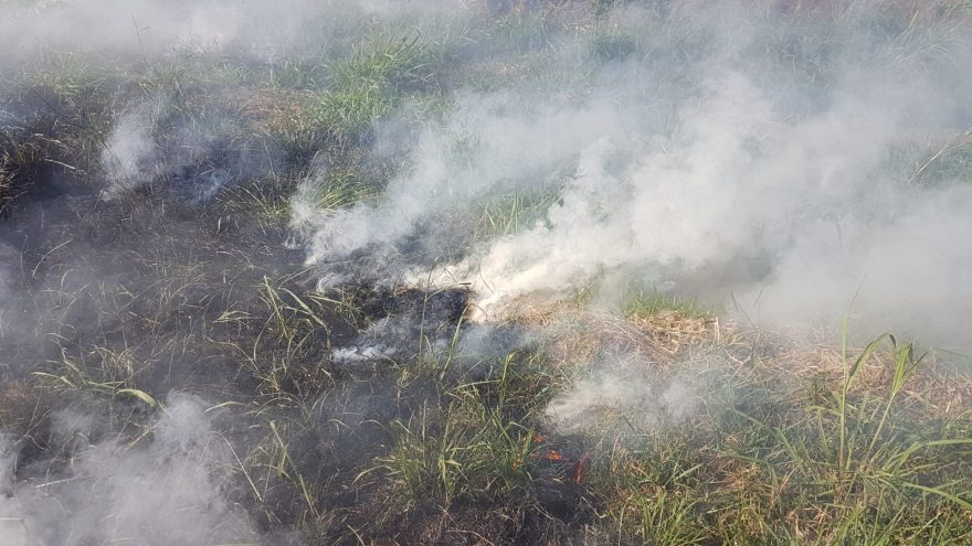 Bombeiros são acionados para atender incêndio ambiental no Ecopark Oeste