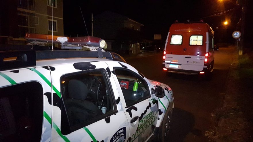 SAMU e Guarda Municipal são mobilizados para atenderem homem em surto no loteamento Belmonte