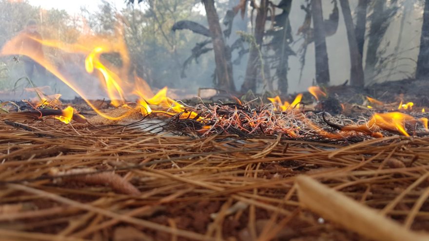 Corpo de Bombeiros é acionado para combater incêndio no Angra dos Reis