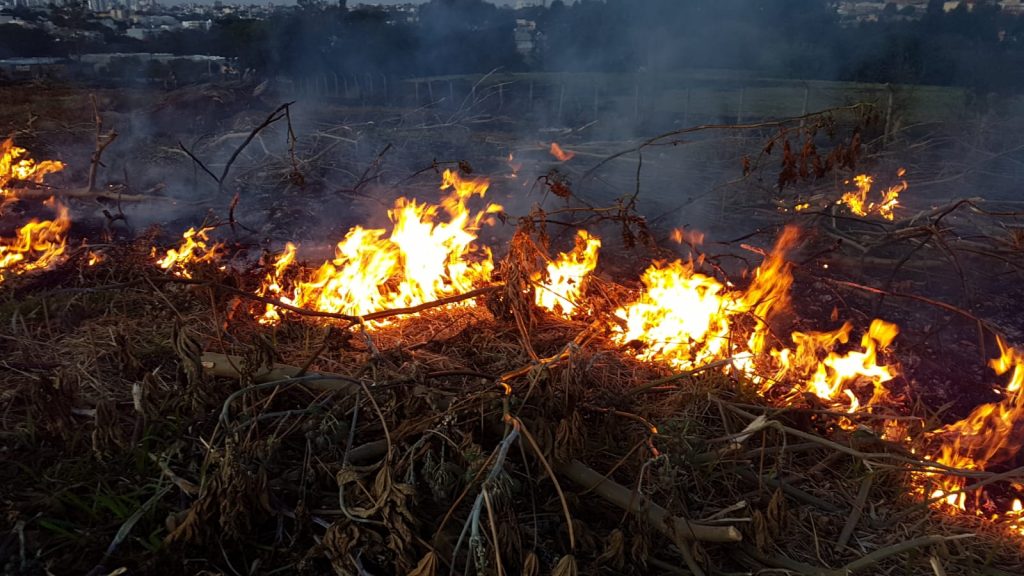 Corpo de Bombeiros é acionado para apagar incêndio em Cascavel