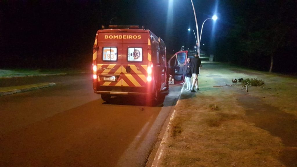 Após perder controle de motocicleta, jovem sofre queda e fica ferido