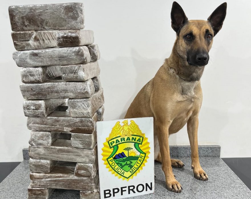 Homem em posse de 25 Kg de maconha é preso pelo BPFron em ônibus de linha na BR-369