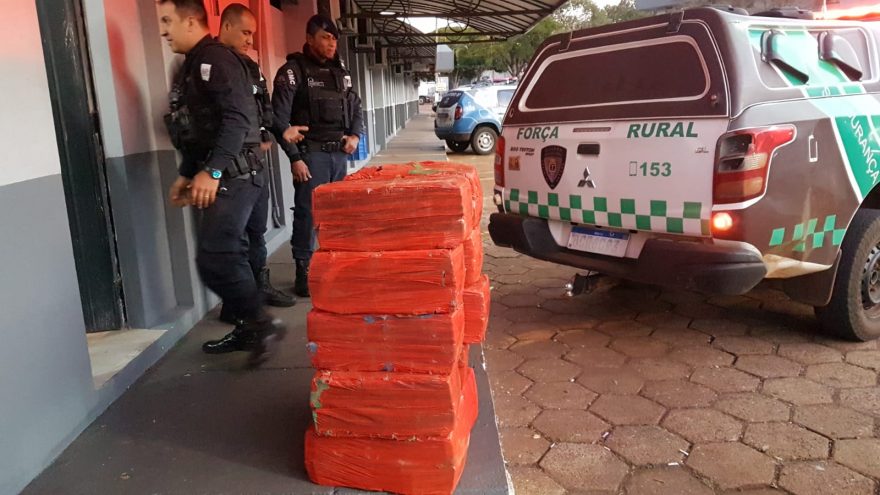 Guarda Municipal apreende mais de 240kg de substância análoga a maconha em área rural