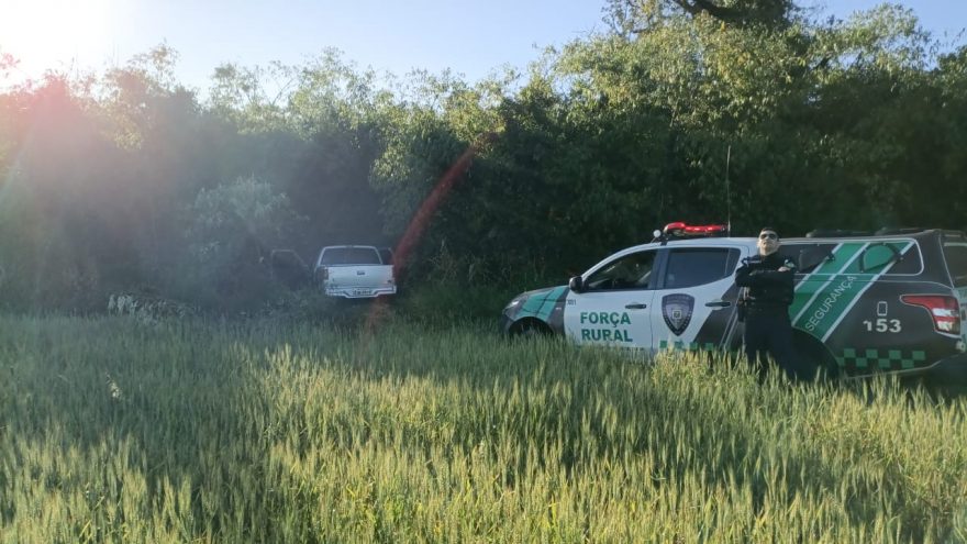 Ladrões tentam esconder caminhonete furtada em meio a mato, mas veículo é recuperado pela GM