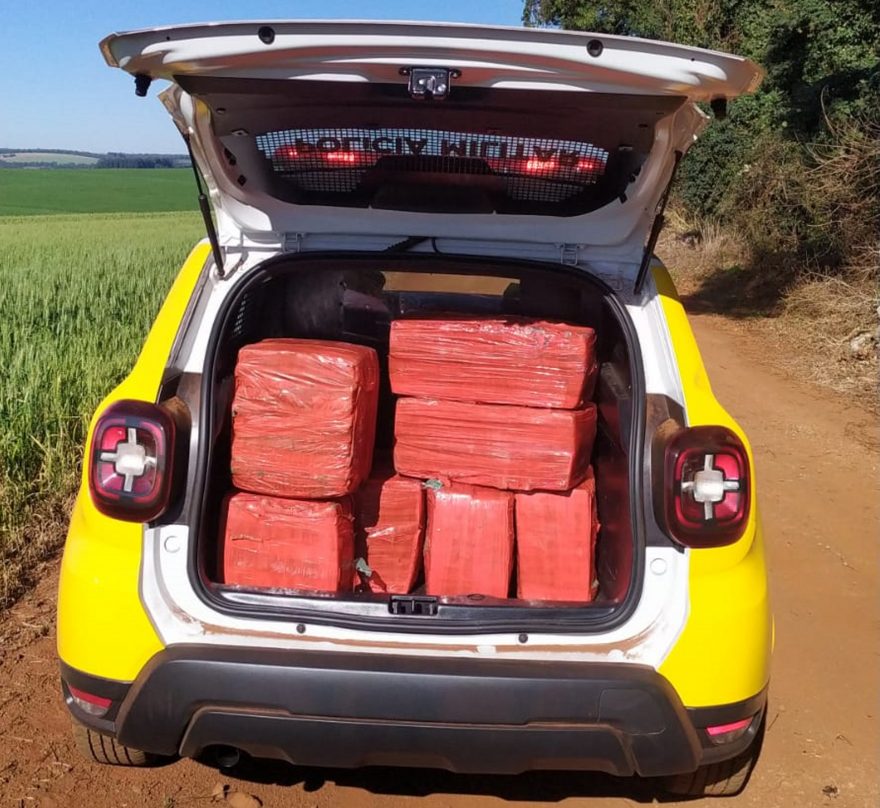 Após denúncia, Polícia Militar encontram 200 kg de maconha no meio do mato
