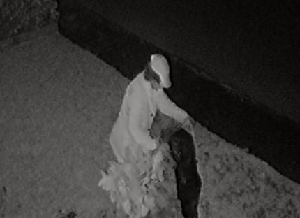 Câmera de segurança flagra mulher furtando planta em residência de Nova Santa Rosa Imagem referente a Câmera de segurança flagra mulher furtando planta em residência de Nova Santa Rosa