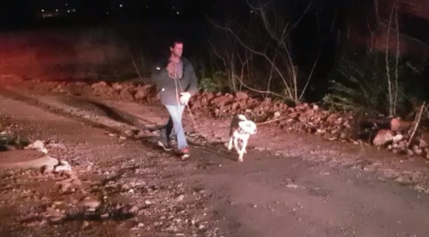 “A primeira coisa que veio na minha cabeça foi tirar o cachorro”, diz vizinha que salvou animal de residência em chamas