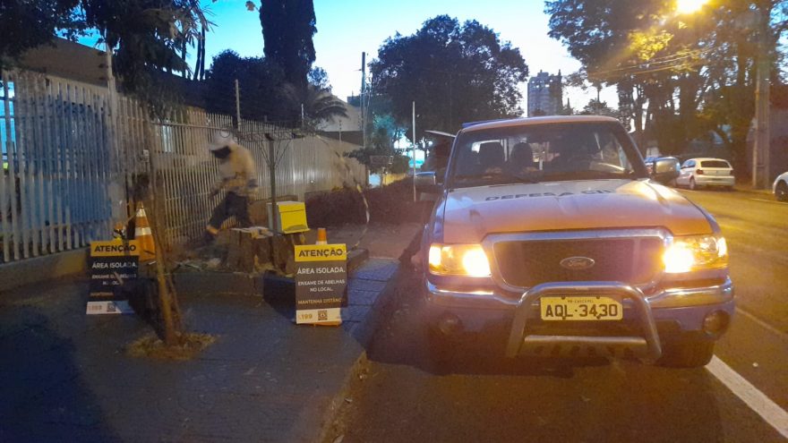 Defesa Civil é acionada para conter enxame de abelha no Centro de Cascavel