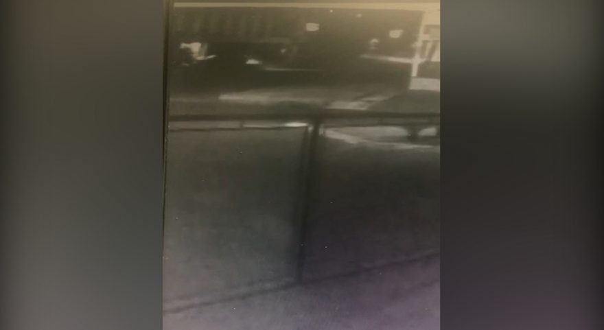 Vídeo mostra momento em que Peugeot invade academia no Bairro Santa Cruz