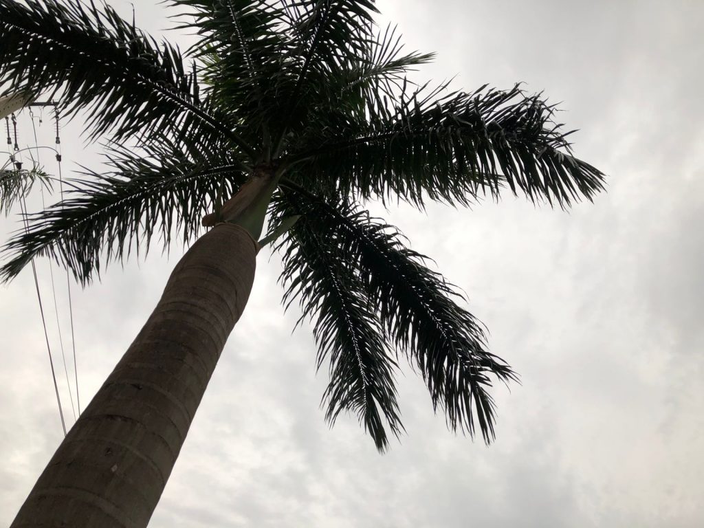 Chuva é prevista para grande parte do dia de hoje (06)