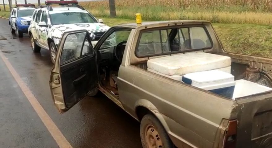Guarda Municipal detém indivíduo com veículo suspeito