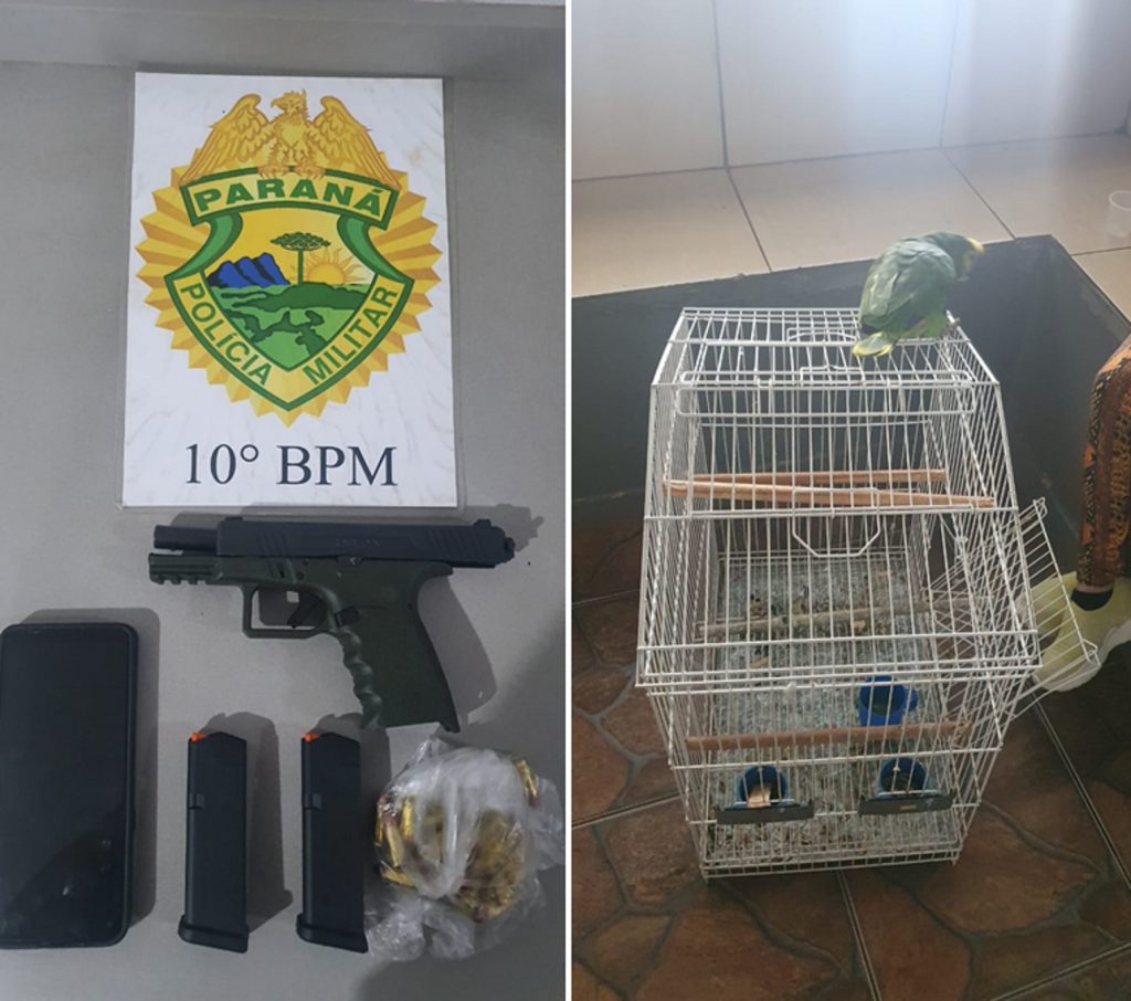 Em ocorrência de violência doméstica, PM detém homem e apreende arma, munições e papagaio