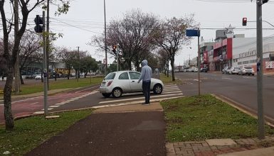 Imagem referente a Final de semana inicia com frio, risco de geada e cheiro de naftalina