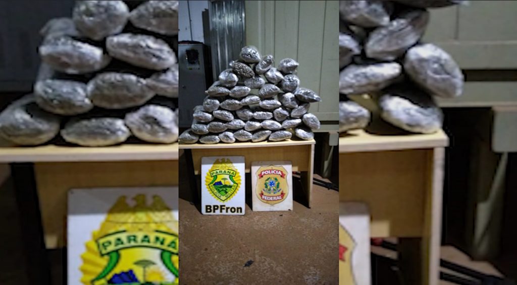 BPFron e PF apreendem capulho em Foz do Iguaçu