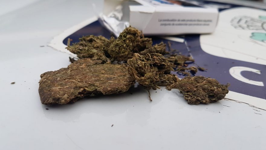 Guarda Municipal detém indivíduo em posse de maconha no Bairro Cascavel Velho