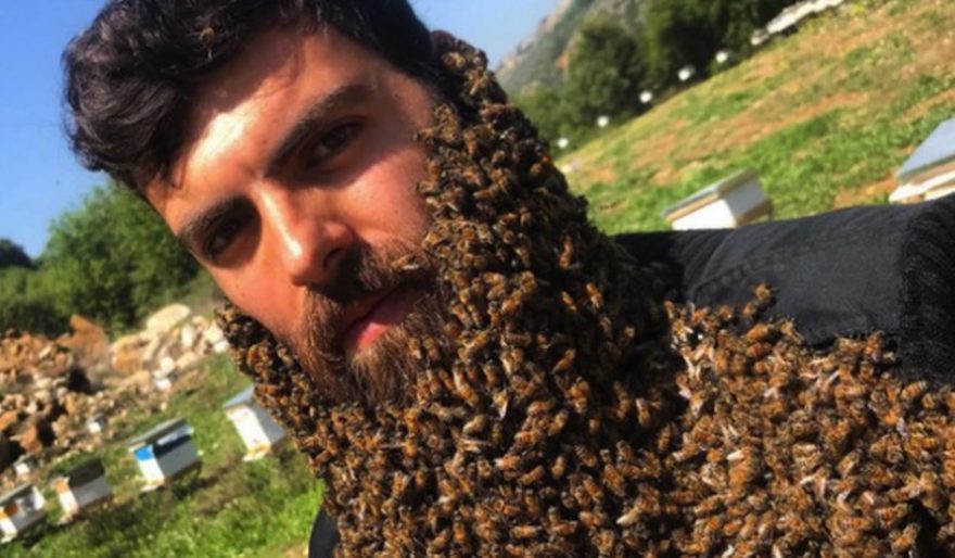 Vídeo: libanês faz sucesso na internet ao mostrar barba coberta por abelhas 