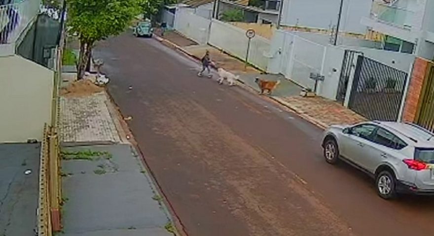Impressionante: idosa quebra o braço após ser atacada por cães no Bairro Pioneiros Catarinenses