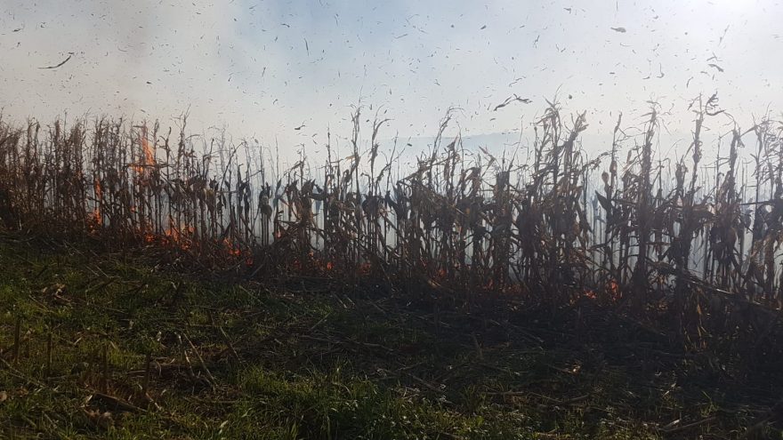 Bombeiros são acionados para apagar incêndio em plantação de milho na PR-180