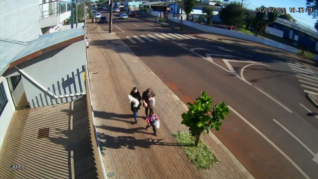 Moradora do Interlagos pede ajuda para localizar a cachorrinha Lilica Moradora do Interlagos pede ajuda para localizar a cachorrinha Lilica