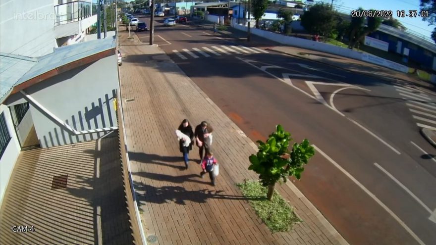 Moradora do Interlagos pede ajuda para localizar a cachorrinha Lilica