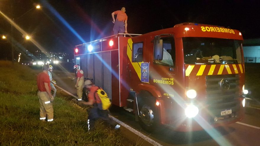Corpo de Bombeiros é acionado para combater incêndio em vegetação nas margens da BR-277
