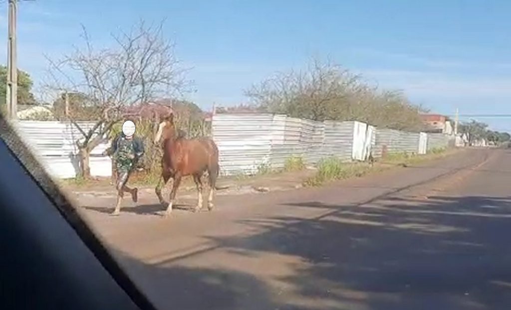 Mais uma égua foi furtada em Cascavel