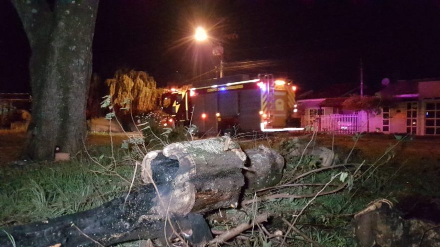 Fogo atinge árvore e Bombeiros são mobilizados, no Bairro Country