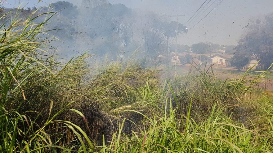 Fogo atinge área de mata no Bairro Floresta e Corpo de Bombeiros é acionado