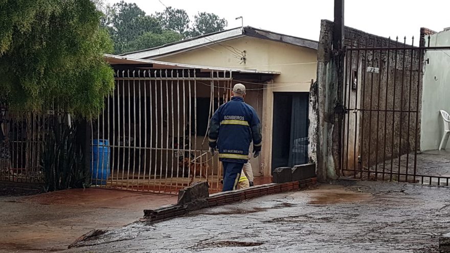 Cadela da raça pitbull invade residência no Bairro Periolo e Corpo de Bombeiros é acionado