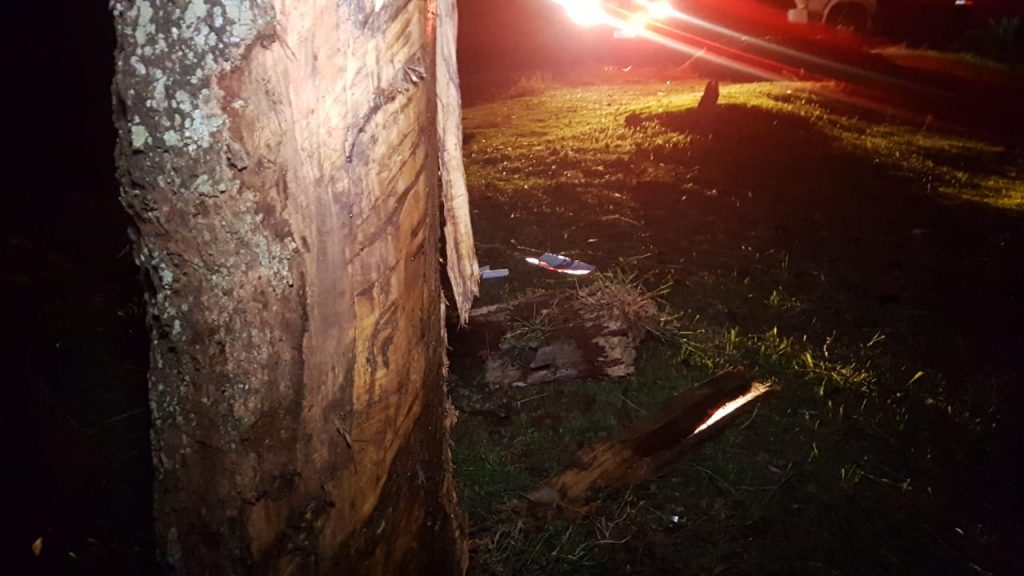 Casal fica ferido ao colidir Palio em árvore na BR-467, em Cascavel
