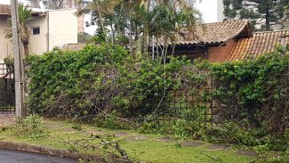 24.531 consumidores ficaram sem energia em razão do temporal