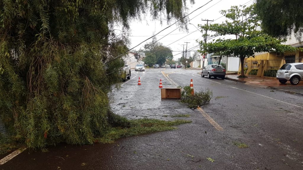 Poste é derrubado com impacto de árvore durante temporal em Cascavel