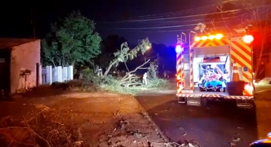 Corpo de Bombeiros e Defesa Civil realizam trabalhos de entrega de lonas e poda de árvores