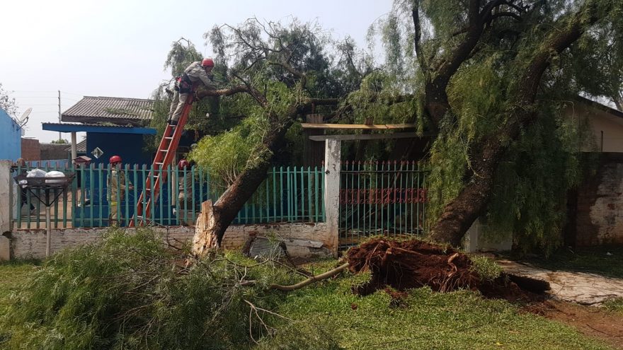 Bombeiros realizam corte de árvore que caiu em residência no Julieta Bueno