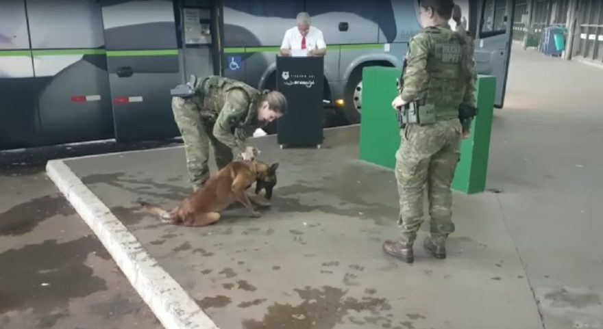 BPFron realiza abordagem em ônibus de linha na Rodoviária de Cascavel