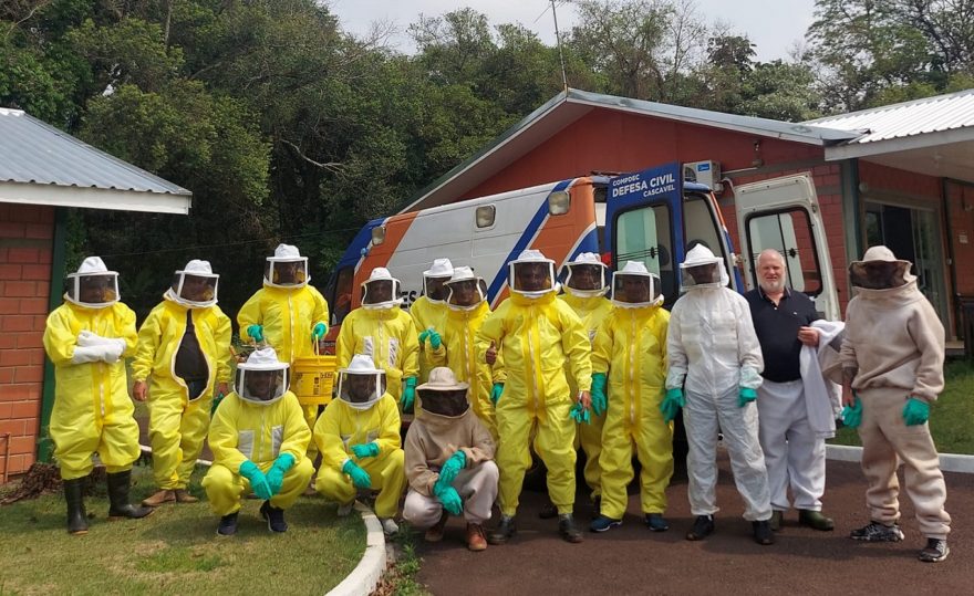 Curso de capacitação para remoção de abelhas é realizada pela Defesa Civil